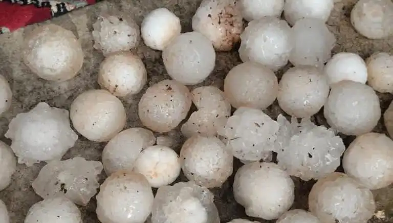 Şanlıurfa'da Şoke Eden Kar Topu Büyüklüğünde Dolu Yağışı!