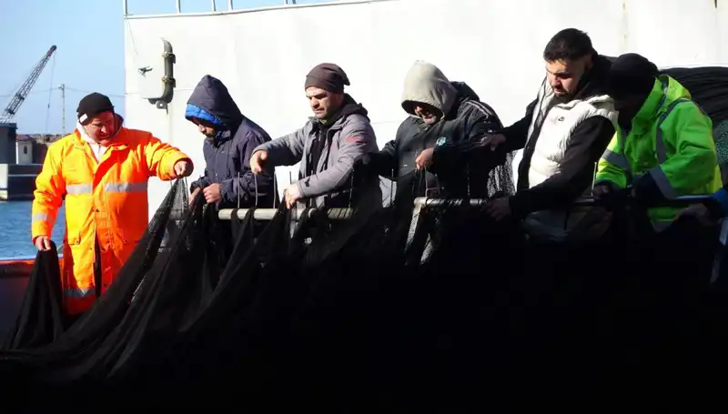 Denizlerde Hamsi Avı Kısıtlanıyor: Balıkçılar Ne Yapacak?