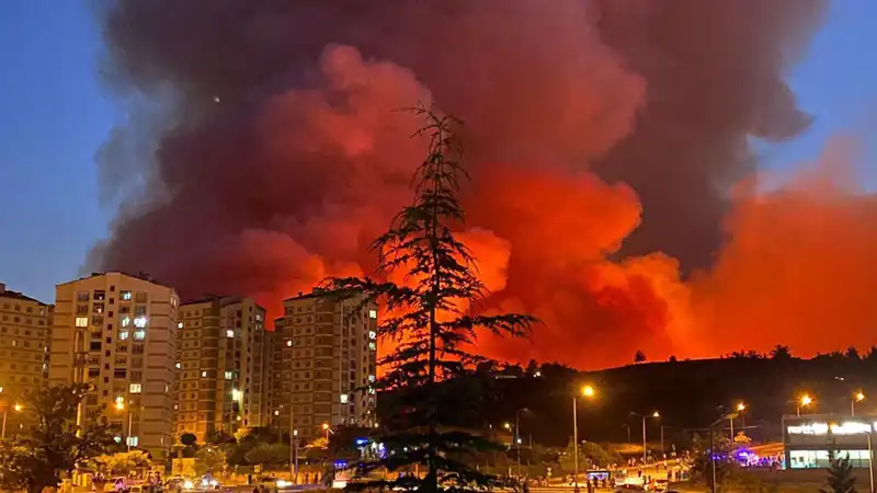 Bursa'da Yangın Alarmı: Şehri Tehdit Eden Felaket Nedenleri ve Sonuçları