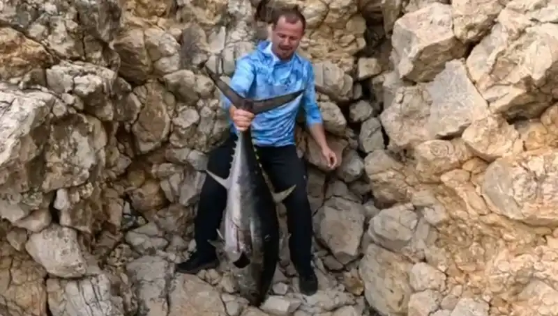 Saros Körfezi’nden Çıkan 30 Kiloluk Dev Balık Avcılarını Şaşırttı