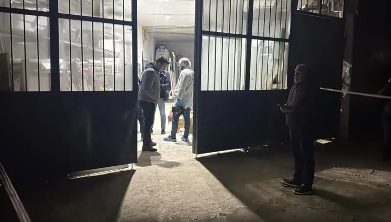İş Yerinde Korkunç Cinayet: Çalışanlar Şokta, Olayın Detayları Gün Yüzüne Çıktı
