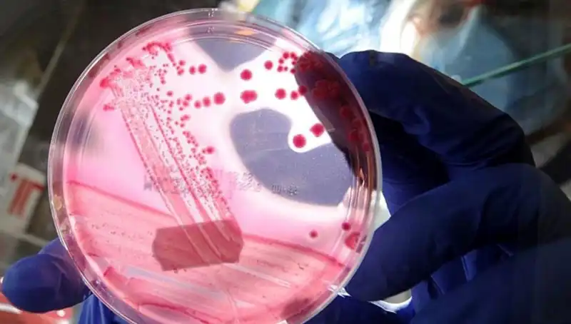 Yaşlanmayı Unutturan Keşif: AP2A1 Proteininin Önemi ve Baskılanması